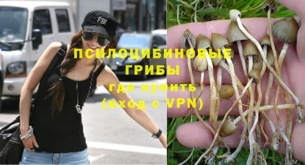 винт Белокуриха
