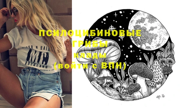 винт Белокуриха